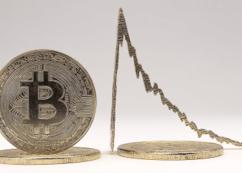 Experte Crypto Rover: Bitcoin wird crashen!