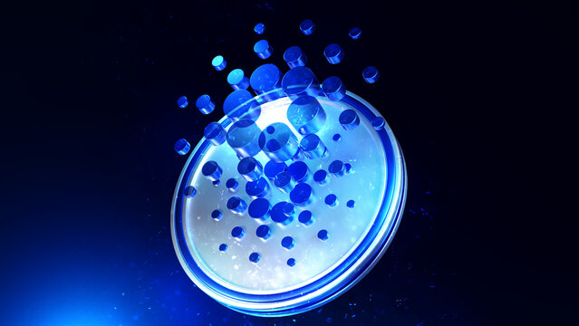 Cardano-XRP Partnership Coming? New Entrant Into The MiCA Crypto Alliance Co-Founded By Ripple Announced | Bitcoinist.com