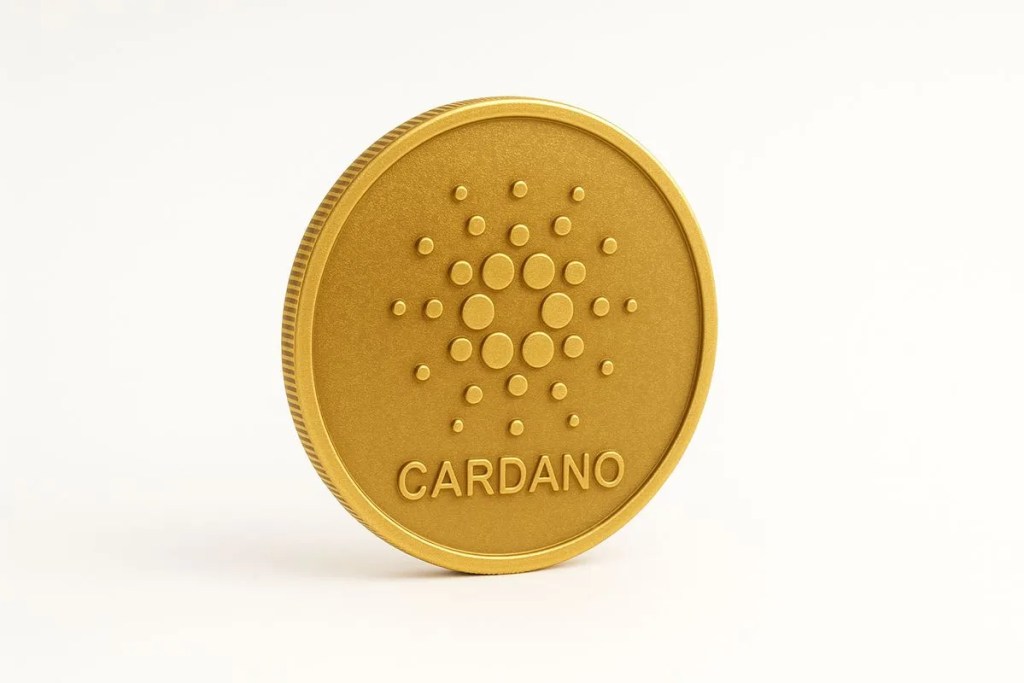 Cardano เหรียญคริปโตที่น่าลงทุนแห่งปี