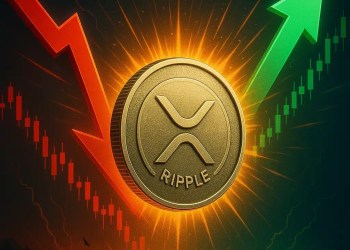 ripple-crash-xrp-potential-vs-altcoins-insights-news