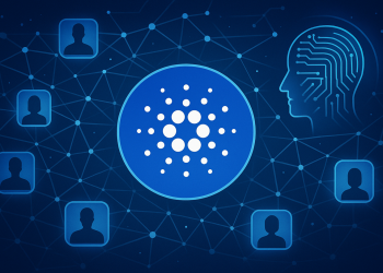 Cardano news