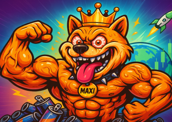 Warum Maxi Doge Ins Aktuelle Marktbild Passt