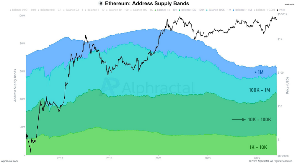 Data showing Ethereum whales accumulating.