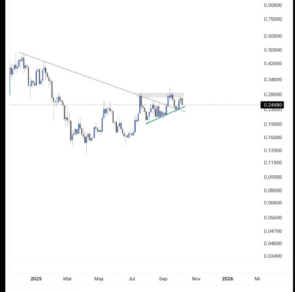 Dogecoin Set for Rebound 