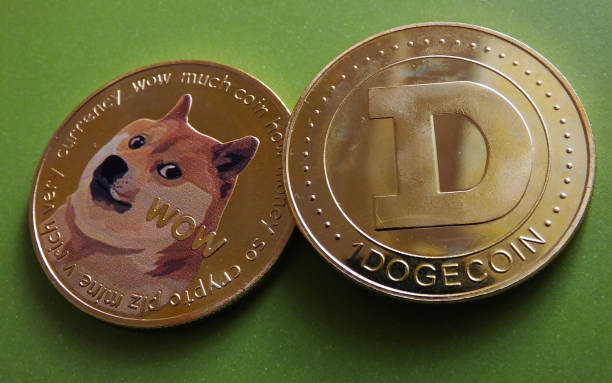 Dogecoin Users Can Now Pay For Flights With DOGE On This Airline