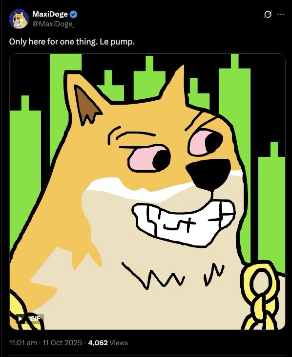 Beispiel für das Maxi Doge ($DOGE)-Branding.