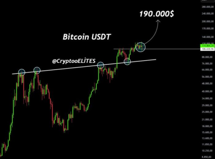 DeepSeek Bitcoin price prediction reveals $190K target.