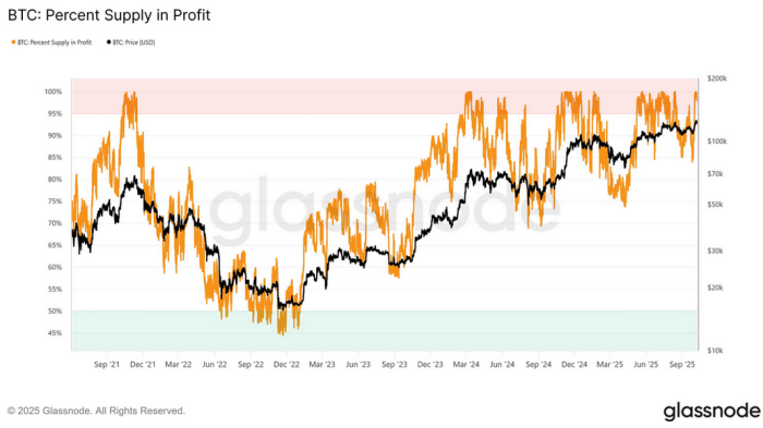 Glassnode chart showing Bitcoin’s percent supply in profit