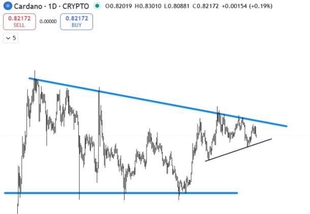 DeepSeek's $2 Cardano price prediction.