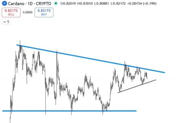 Cardano графика