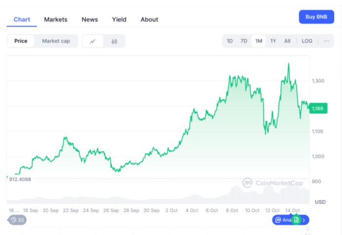 BNB one-month price performance
