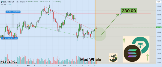 Solana Price Set For Double-Digit Rally Above 0: Analyst Reveals How To Spot Next Move