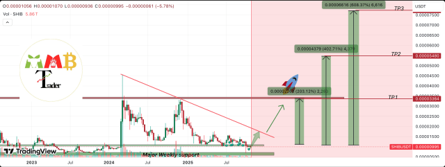 Analyst Predicts Shiba Inu Prcie Will Rally 608%, Here’s When