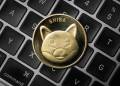 Shiba Inu