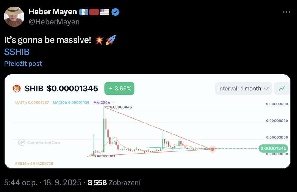 Cenová predikce Shiba Inu.