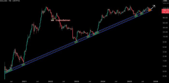 TradingView chart showing Solana’s 5-year trendline