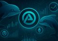 Whales Keep Stacking Aster: Data Reveals 8% Controlled By Two Wallets