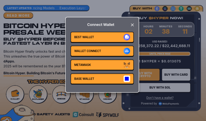 Wallet options for the Hyper presale.