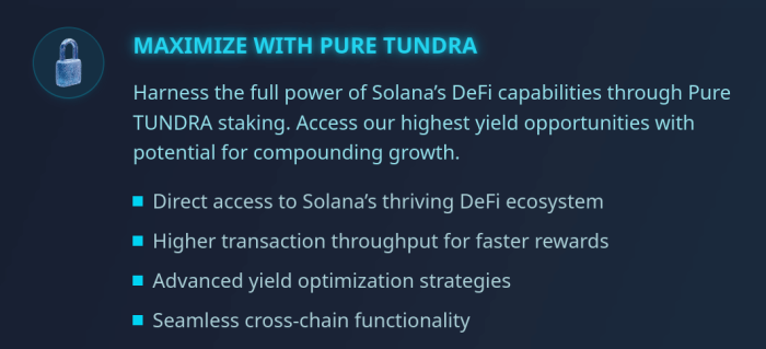 Why TUNDRA-S is using Solana.