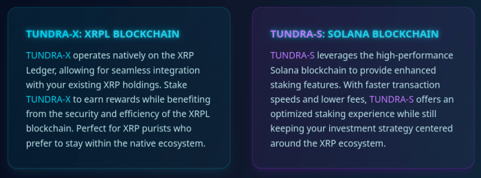 XRP Tundra’s dual token system.