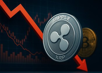 リップル 今後：リップルトークン下落、ピーター・ブラント氏は2.22ドルまでのショートを視野に