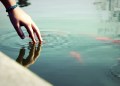 Ripple