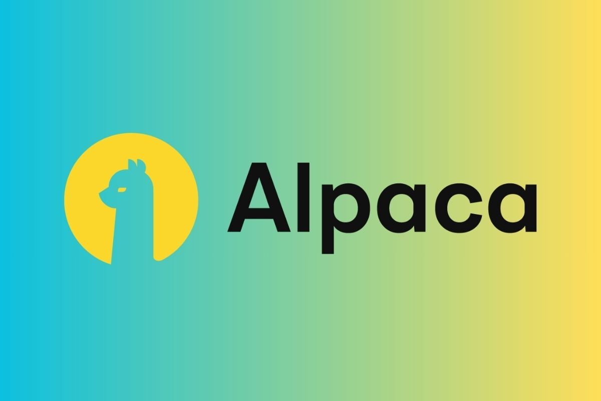 alpaca