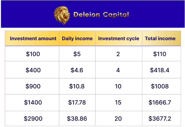 Deleion Capital investment plan example.