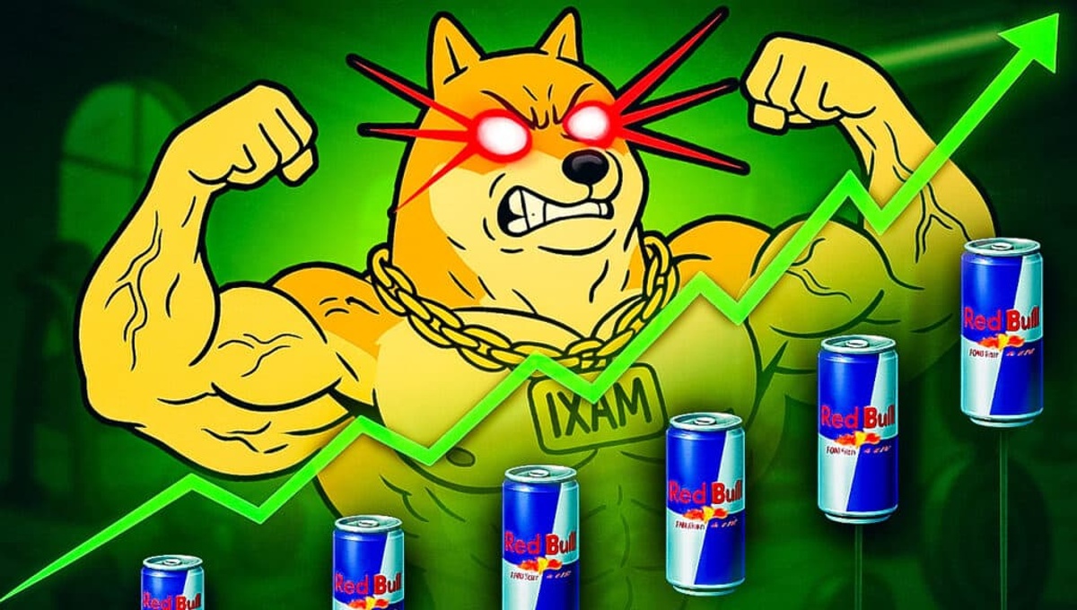 Masz Dogecoina? Zaliczyć go do hipoteki - i dlaczego bros wrzucają go do Maxi Doge