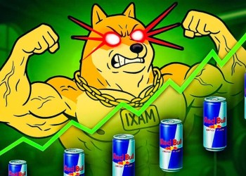 Masz Dogecoina? Zaliczyć go do hipoteki - i dlaczego bros wrzucają go do Maxi Doge