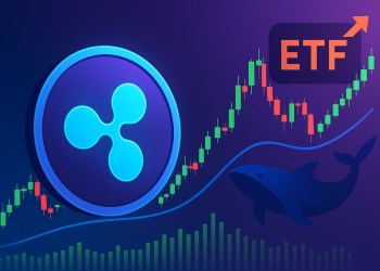 リップル 今後：トレーダーは不安視 ─ しかしクジラウォレットとETF楽観論が示す別のシナリオ