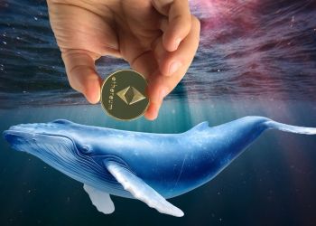 Οι “φάλαινες” του Ethereum αυξάνουν τις θέσεις τους – Ποιο altcoin μπορεί να εκτοξευθεί σύντομα;