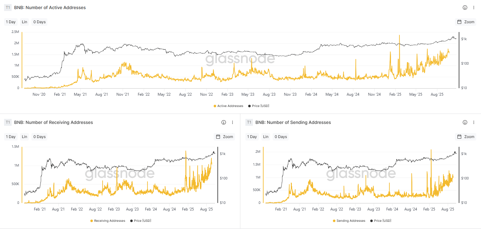 Glassnode-BNB-Adressen