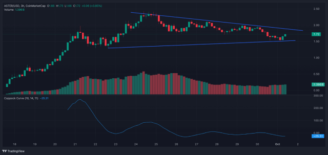 아스터 코인의 가격 향방