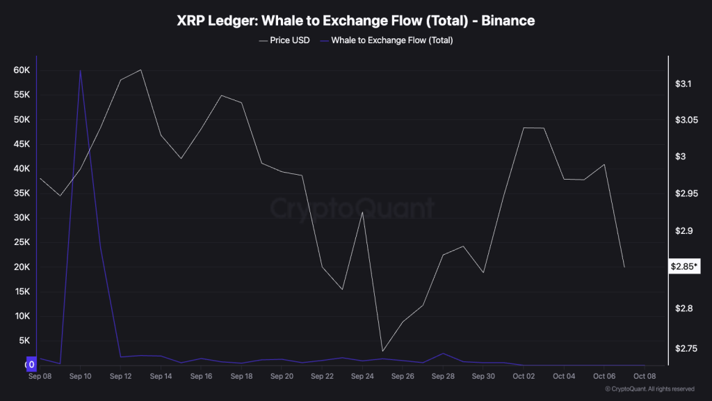 XRPクジラ