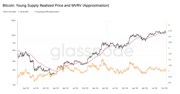 Bitcoin: Young Supply Realized Price and MVRV