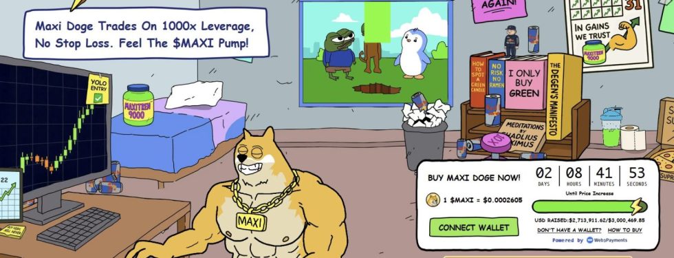 maxi doge