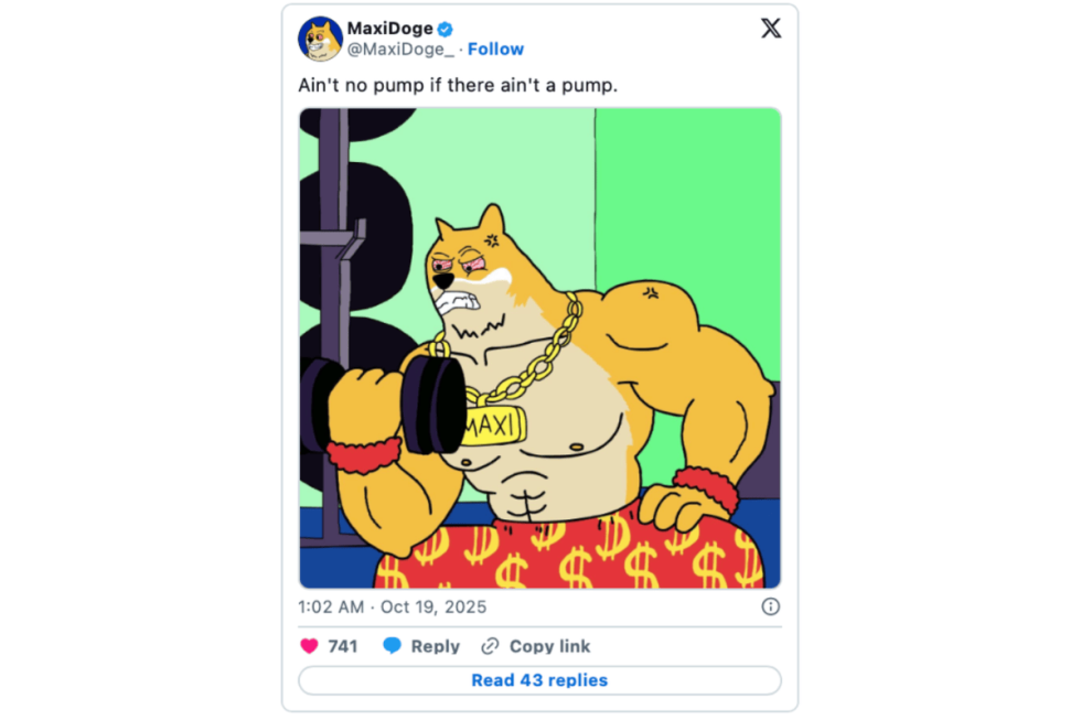 maxi doge x post