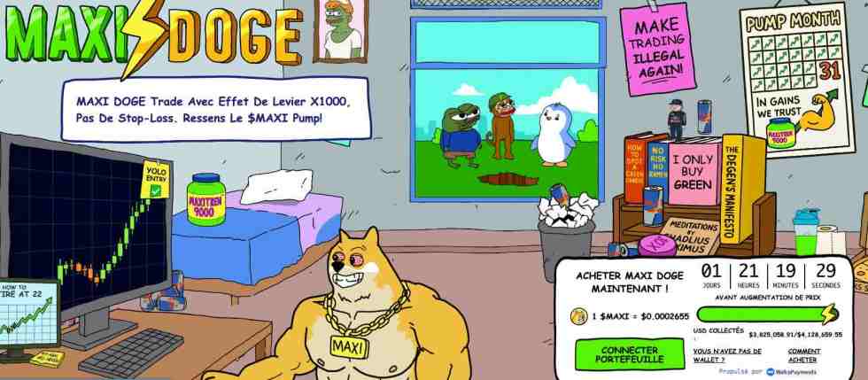 Acheter Maxi Doge en prévente