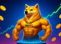Máš Dogecoin? Započítat ho do hypotéky - a proč bros házejí všechno do Maxi Doge