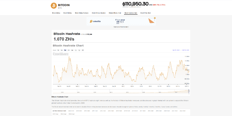 Tiesa apie solo kasybą ir kodėl mažiems žaidėjams nesiseka