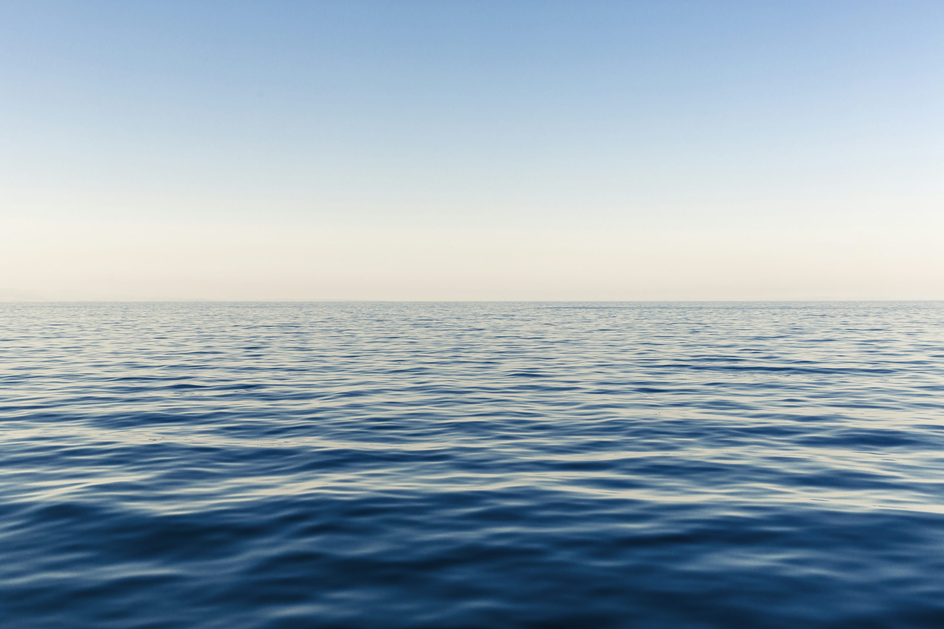 OpenSea Plans To Launch SEA Token By Q1 2026 – Details