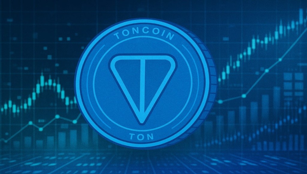Как хранить Toncoin после покупки