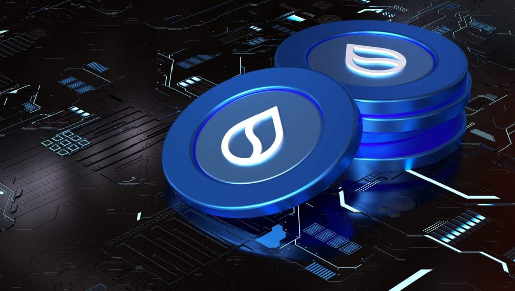 Перспективы и будущее SUI