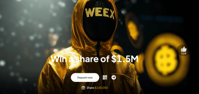 weex review