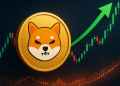 シバコイン 今後：14％下落で投資家心理が悪化、注目は新興ミームコインMaxi Dogeへ