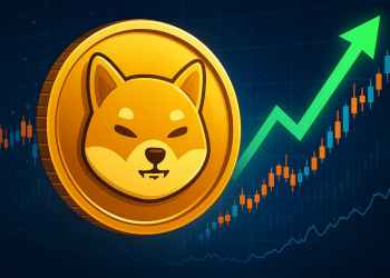 シバコイン 今後：主要支持維持とホルダー拡大で回復余地、抵抗突破が焦点