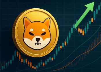 シバコイン 今後：保有者増加もサポート防衛が課題、0.000009ドル台で攻防続く