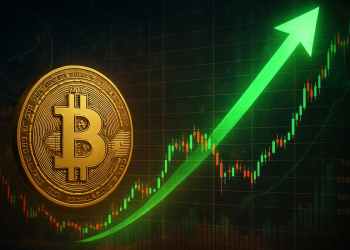 ビットコイン 今後：BTCが12万5000ドルを突破、史上最高値を更新