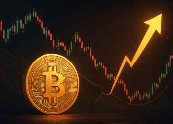 ビットコイン 今後：オンチェーンデータが示す強気基調と新たな投資先「Maxi Doge」